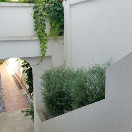 Villa Olivia 科托尔 外观 照片