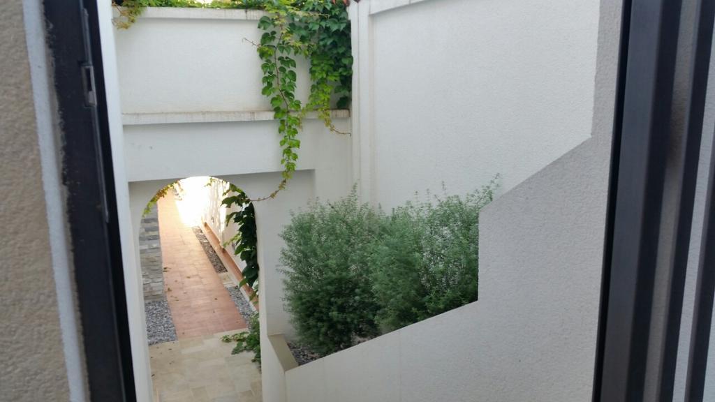 Villa Olivia 科托尔 外观 照片